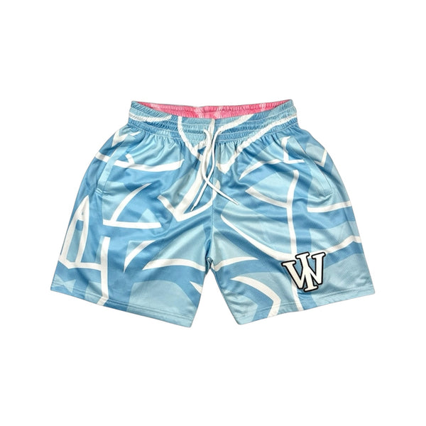 PINK & BLUE SHORTS